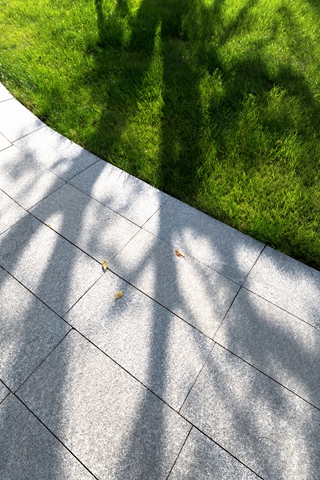 DSC_2916-编辑 (2).jpg